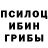 Галлюциногенные грибы Psilocybine cubensis Henry Princely