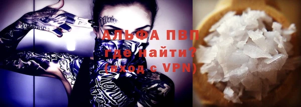 прущие грибы Волоколамск