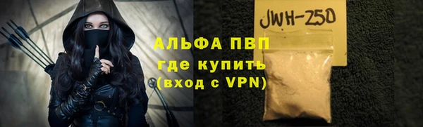 прущие грибы Волоколамск