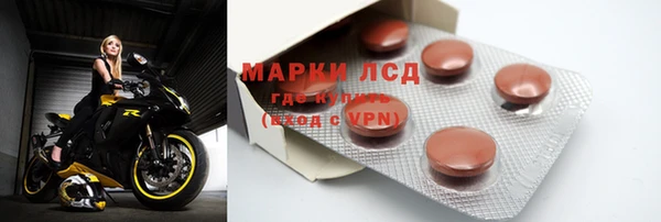 прущие грибы Волоколамск