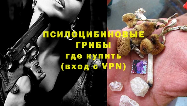 стаф Волосово