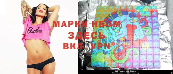 прущие грибы Волоколамск