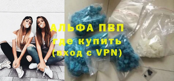 стаф Волосово