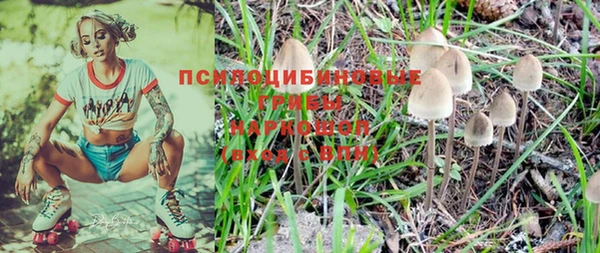 прущие грибы Волоколамск