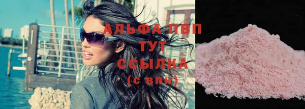 прущие грибы Волоколамск