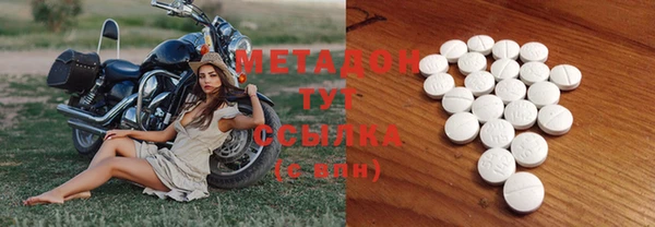 прущие грибы Волоколамск