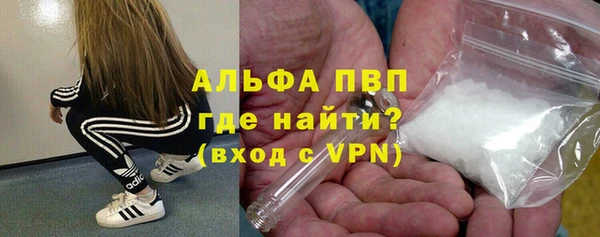 прущие грибы Волоколамск